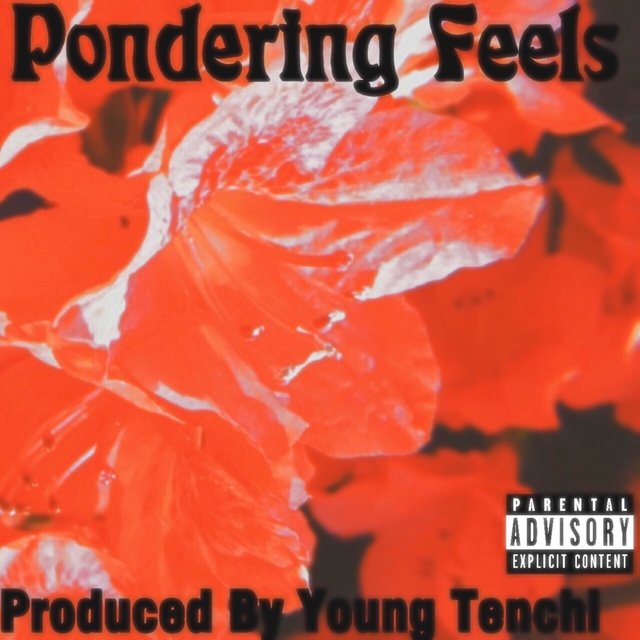 Pondering Feels EP