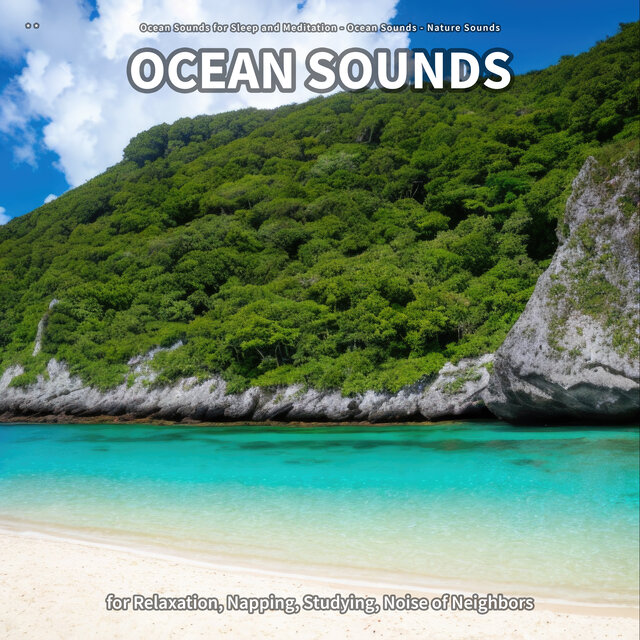 * * Ocean Sounds for Relaxation, Napping, Studying, Noise of Neighbors