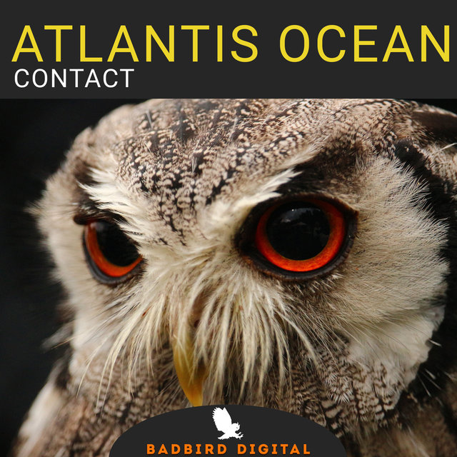 Contact