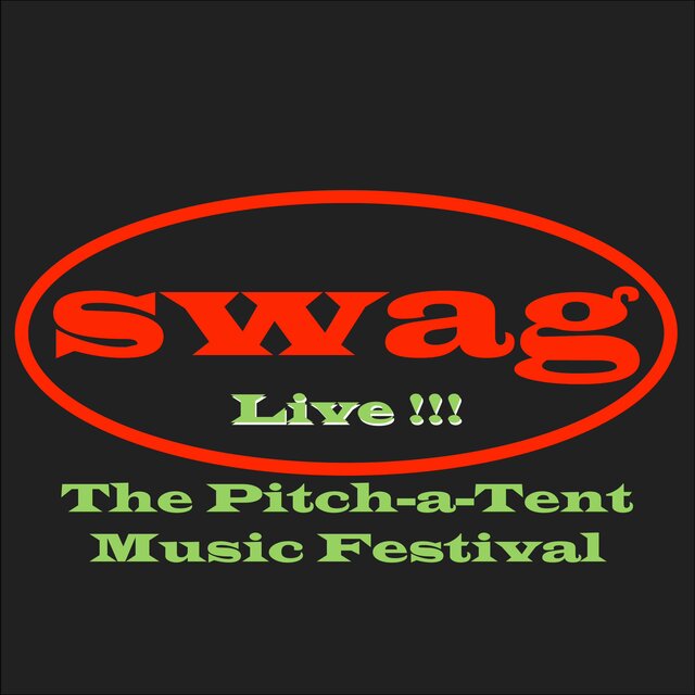 Live At The Pitch-a-Tent Music Festival