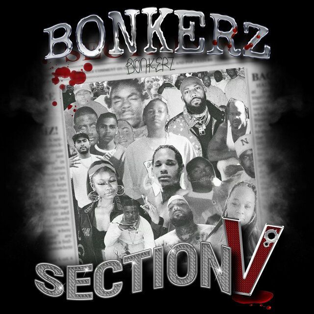 Section V