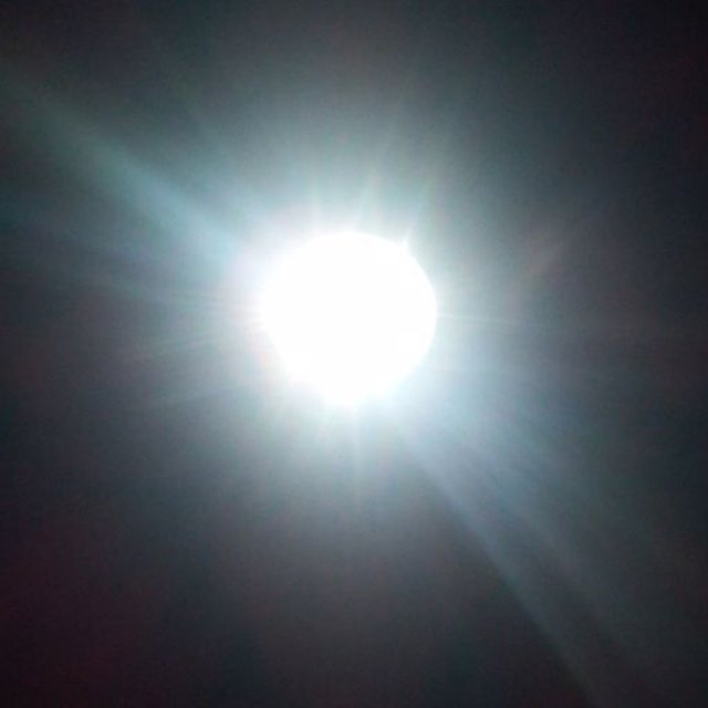 The Light