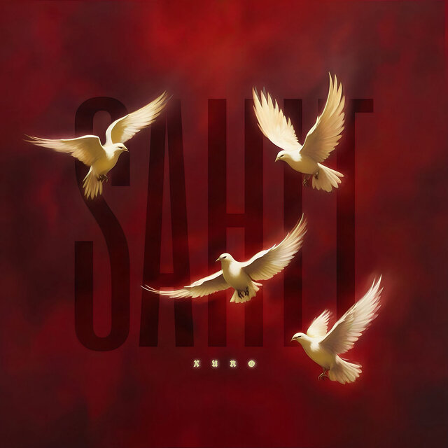 Şahit