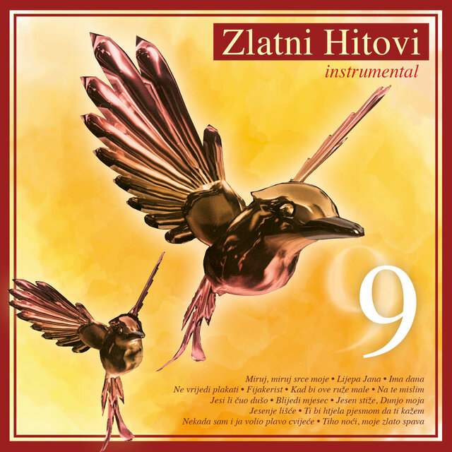 Zlatni Hitovi 9 - Instrumental