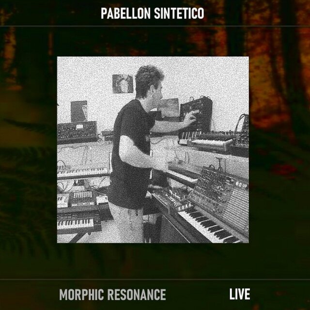 Morphic Resonance (Live session 2022)