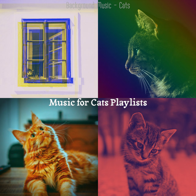 Background Music - Cats
