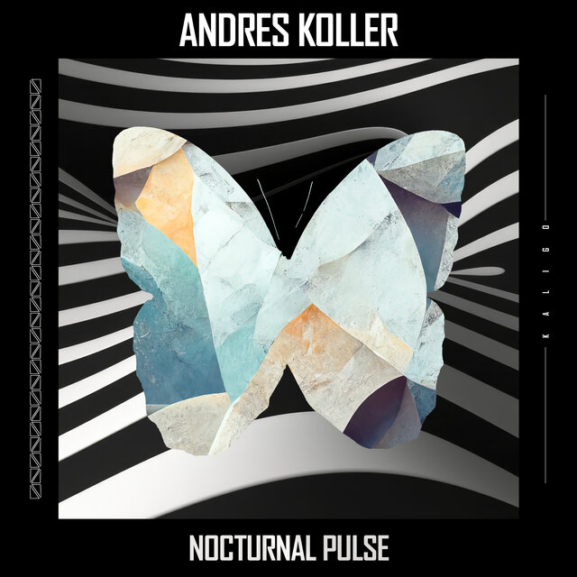Nocturnal Pulse (Radio Edit)
