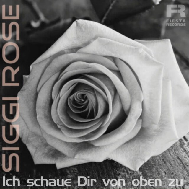 Ich schaue Dir von oben zu
