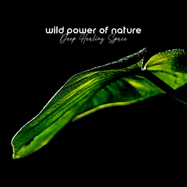 Wild Power of Nature. Deep Healing Space