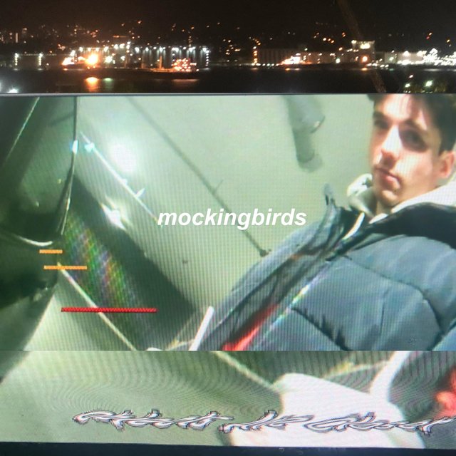 mockingbirds (feat. 519)