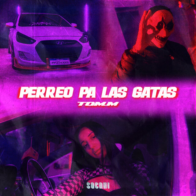Perreo Pa las Gatas