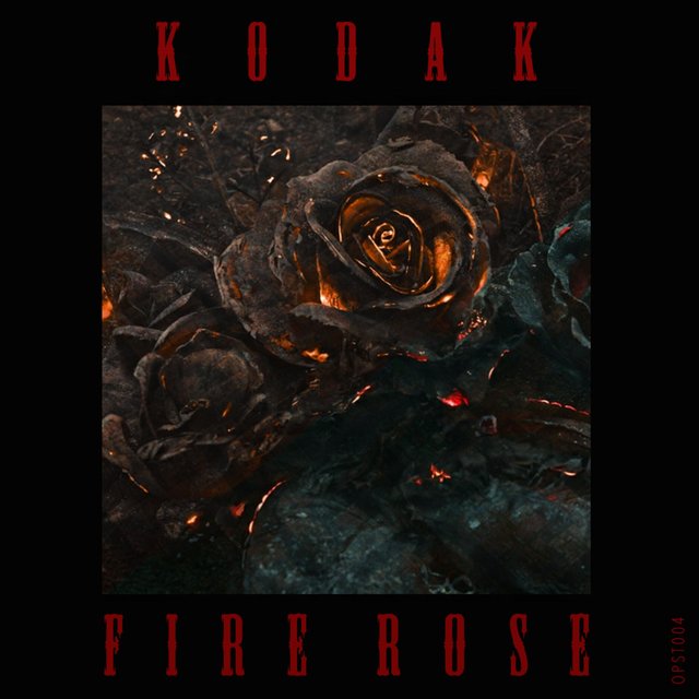 Fire Rose