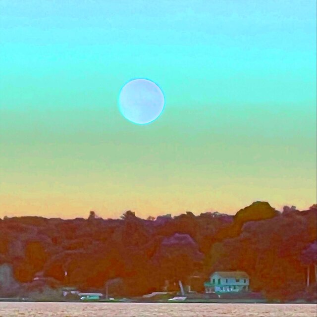 (Moonsongs) From the Circle Window