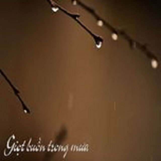 Giọt Buồn Trong Mưa