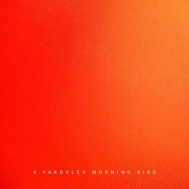 Morning Bird
