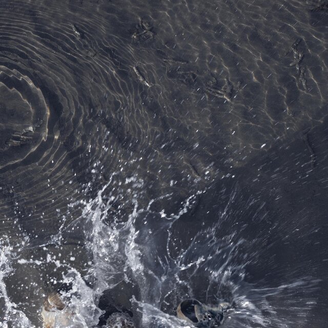 Cover art for album  by of all living things