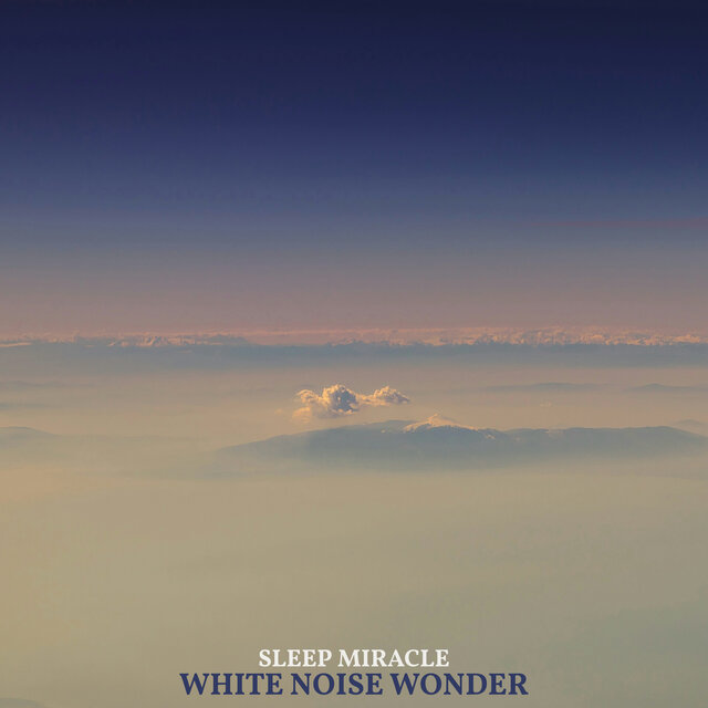 White Noise Wonder