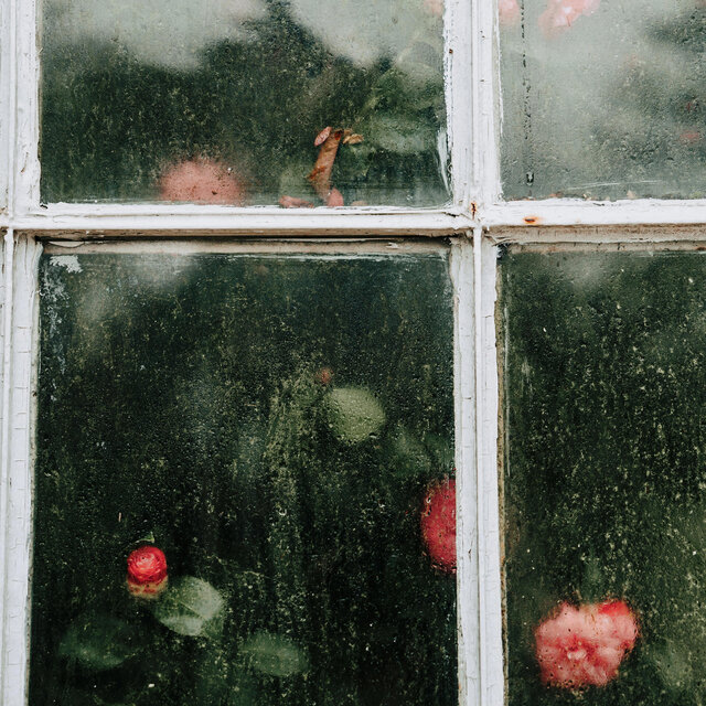 Sense of self (dissolution)