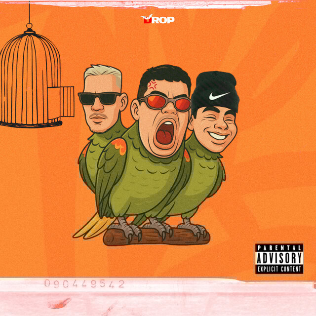 Papagaio