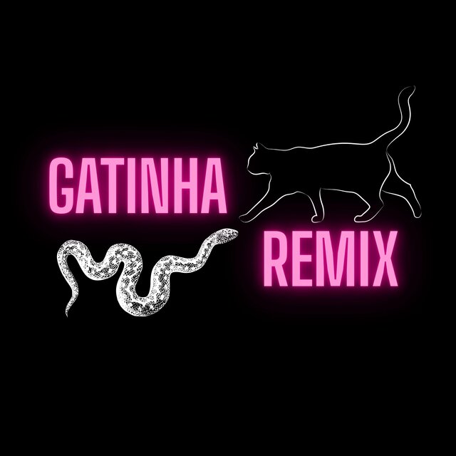GATINHA REMIX