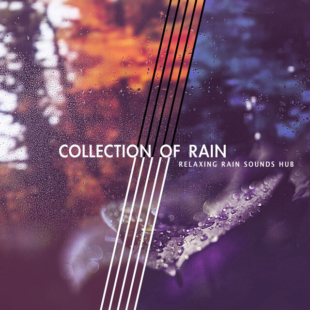 Collection of Rain