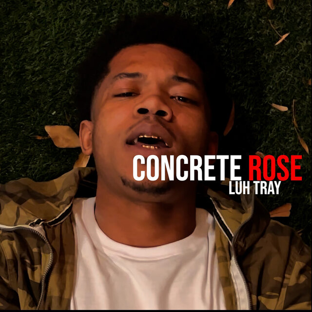 Concrete Rose