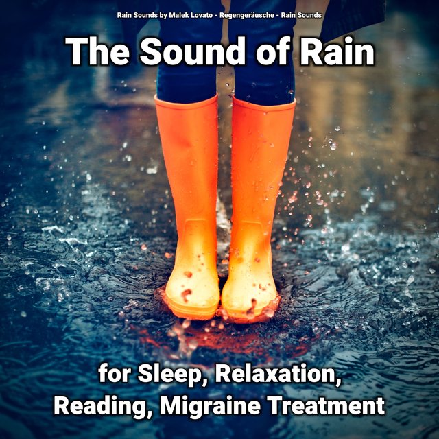The Sound of Rain for Sleep, Relaxation, Reading, Migraine Treatment