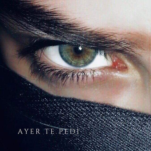 Ayer Te Pedí
