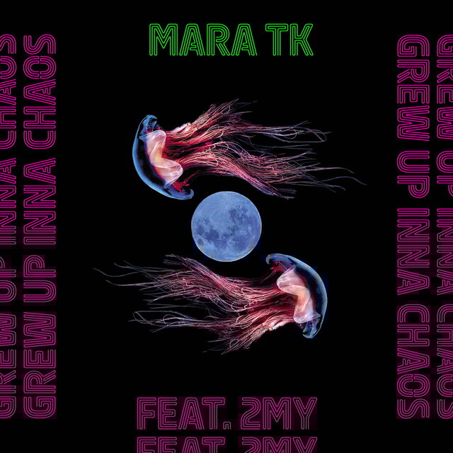 Grew Up Inna Chaos (feat. 2My)