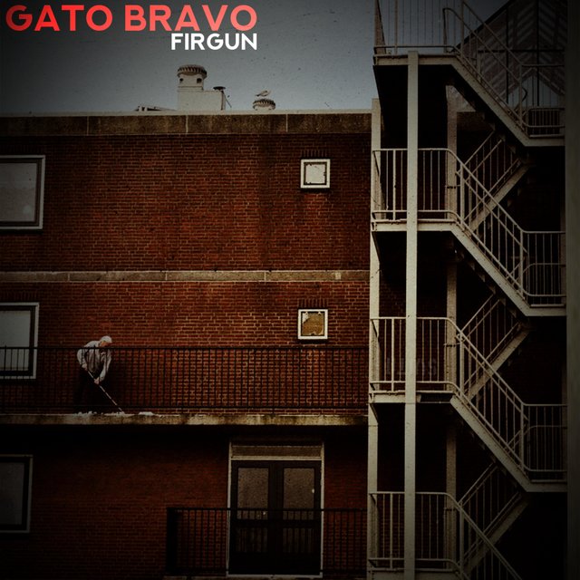 Gato Bravo