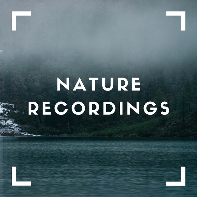 Forest of Natural