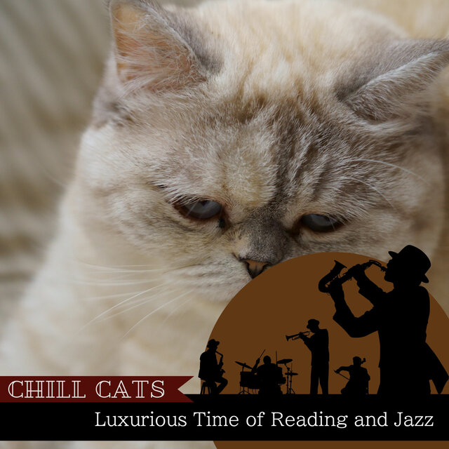 Luxurious Time of Reading and Jazz