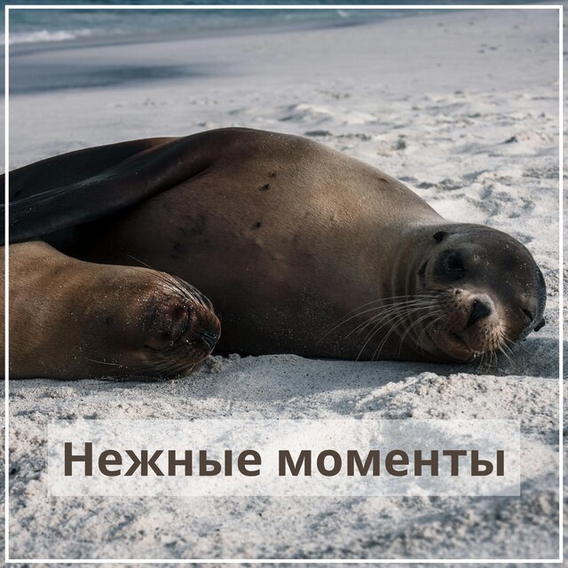 Нежные моменты