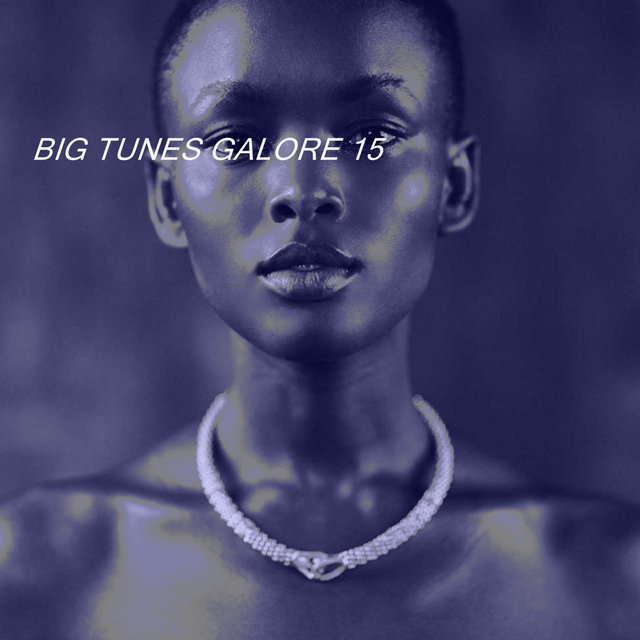 BIG TUNES GALORE 15