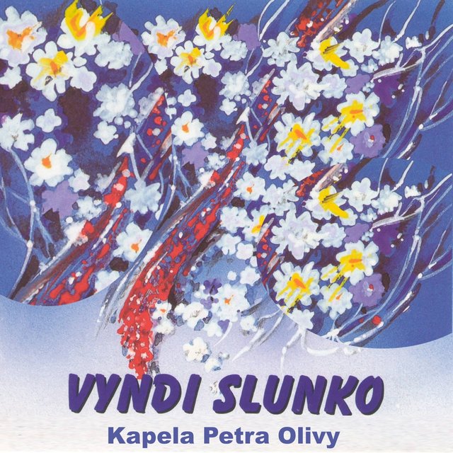 Vyndi Slunko