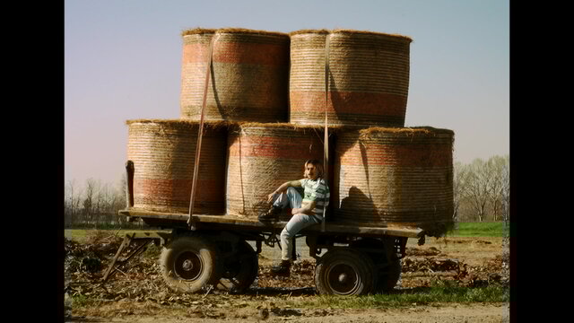 Ti Ci Vuoi Trasferire (Official Video)