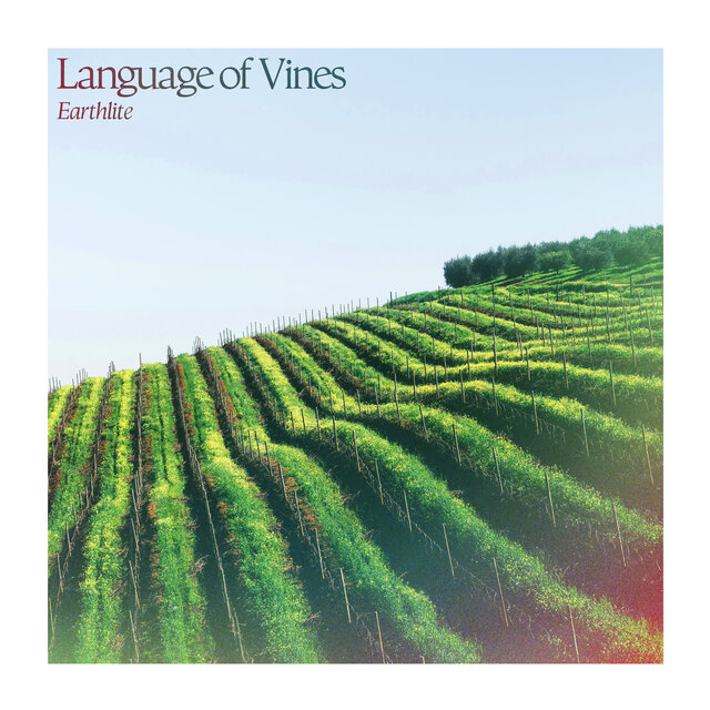 Language of Vines