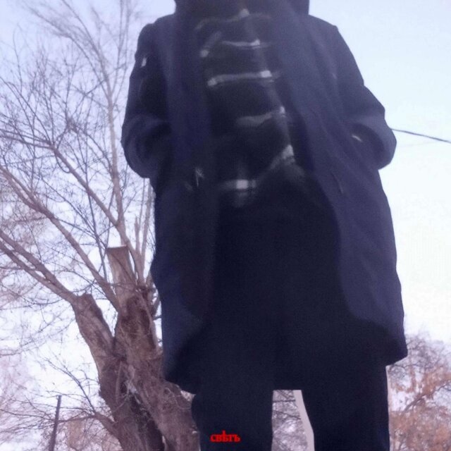 обрывки декабря