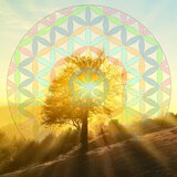 Being Present (Sunshine Mix)