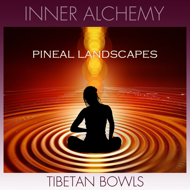 Pineal Landscapes
