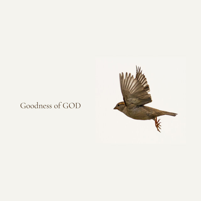 Goodness of God