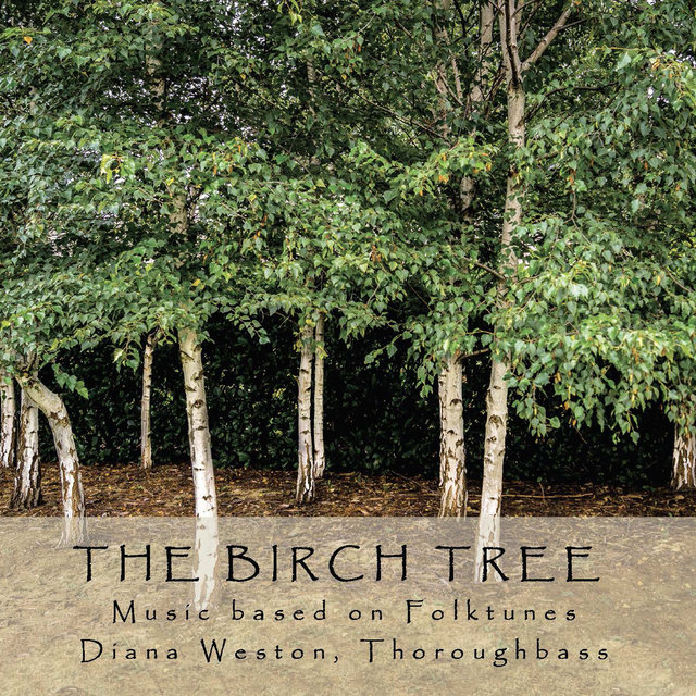 The Birch Tree