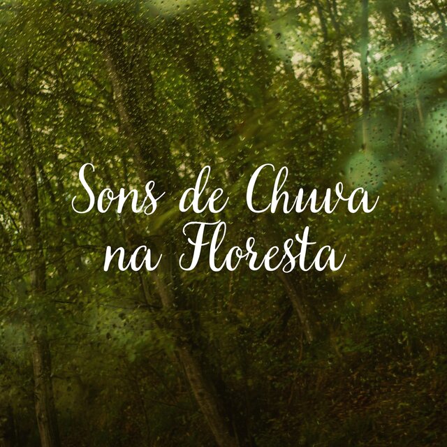 Sons de Chuva na Floresta