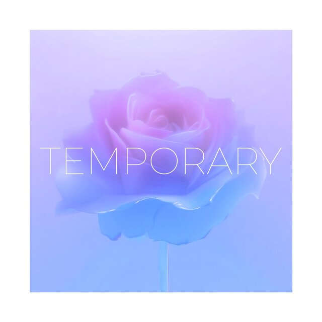 TEMPORARY