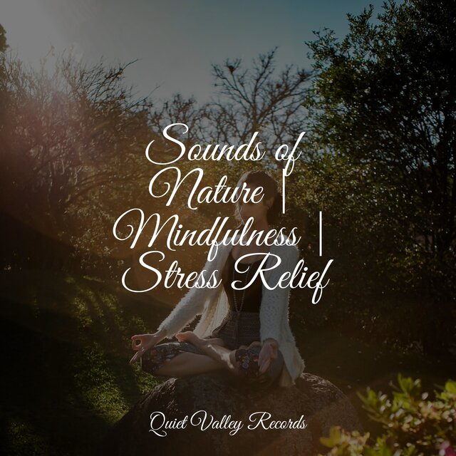 Sounds of Nature | Mindfulness | Stress Relief