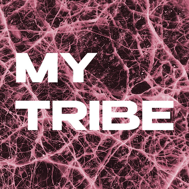 My Tribe