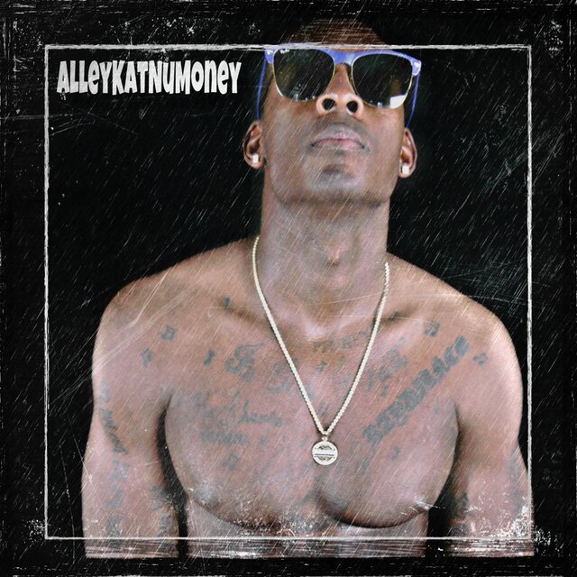 Alleykat NuMoney