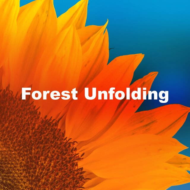 Forest Unfolding