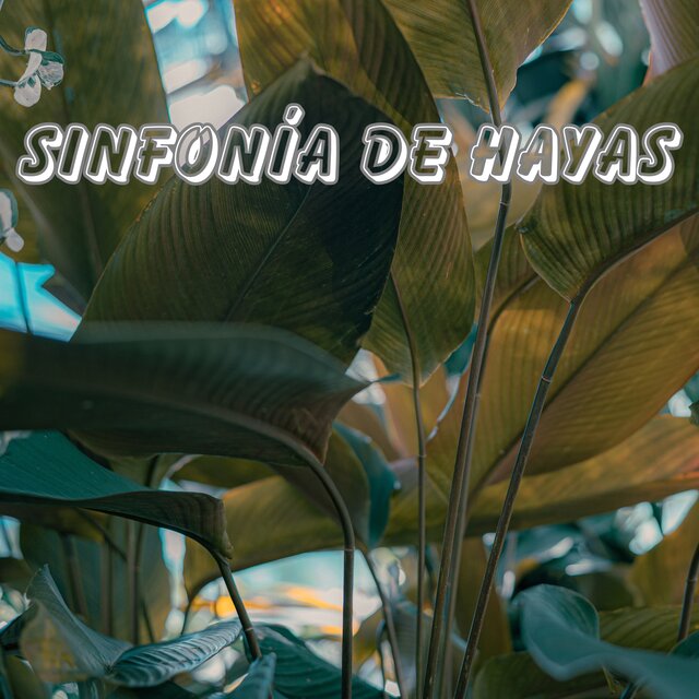 Sinfonía de Hayas