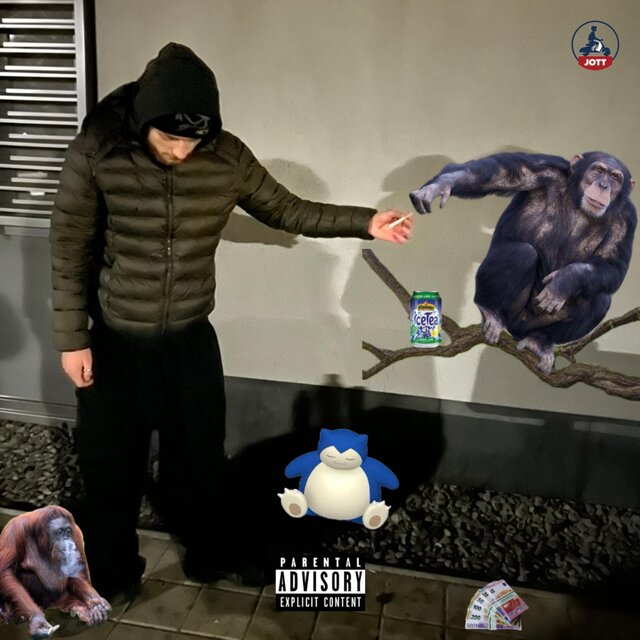 vin vin vin 2